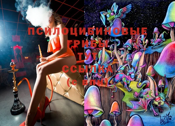 крисы Абинск