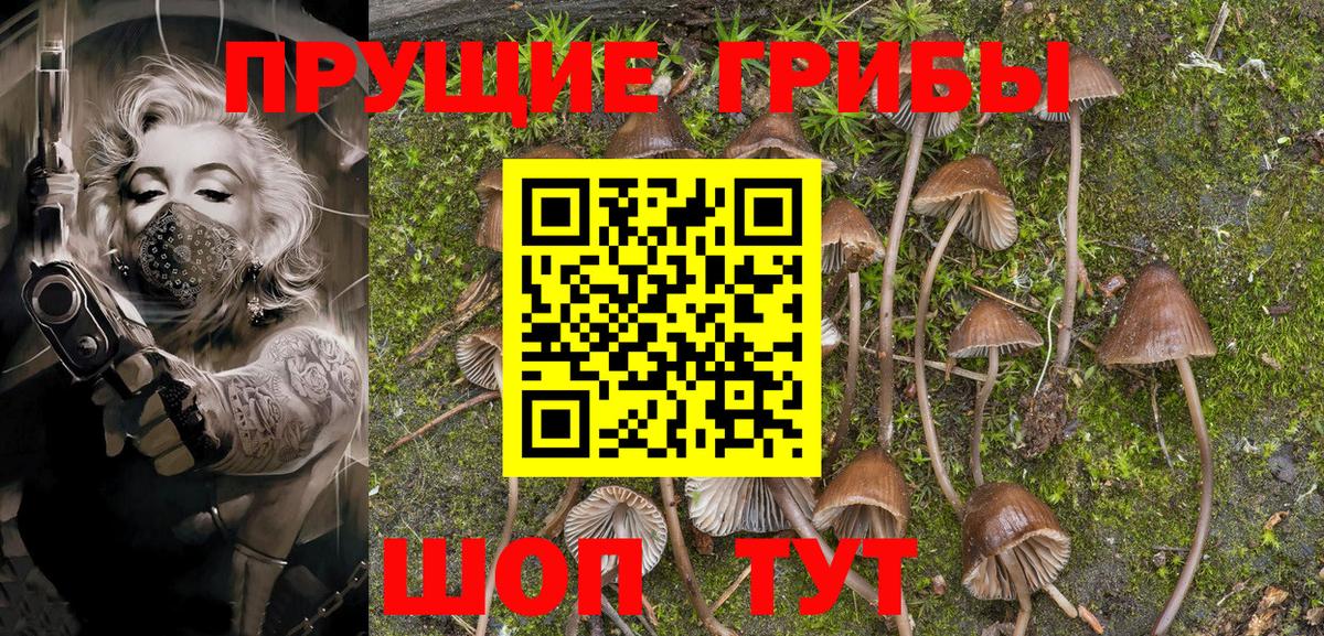 Галлюциногенные грибы Magic Shrooms Волоколамск