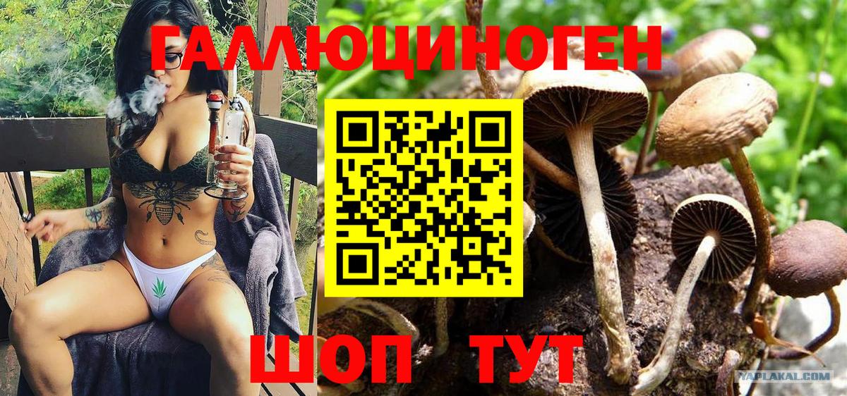 Галлюциногенные грибы мицелий  Вход с VPN  Волоколамск  Псилоцибиновые грибы прущие грибы 